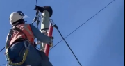 Un trabajador sanjuanino subió unos 10 metros para rescatar a un gato que estaba en la cima de un poste