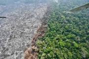 Brasil lanza sistema para medir diariamente la deforestación en la Amazonía