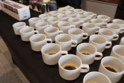 GOBIERNO IMPULSA PRODUCCIÓN Y EXPORTACIÓN DE CAFÉ EN LOS YUNGAS COMO ALTERNATIVA AL CULTIVO EXCEDENTARIO DE COCA