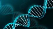 Alertan sobre una nueva tecnología que podría extinguirnos: ¿Qué es la “vida espejo”?