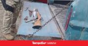 El DOR incautó armas de fuego tras operativo de control