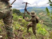 Gobierno anuncia ingreso de brigadas de erradicación al trópico de Cochabamba pese a resistencia de sectores afines a Evo Morales