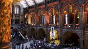 Robaron 6 kilos de oro valuado en U$S 700.000 en el Museo de Historia Natural de París