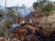 Doce incendios forestales activos mantienen en alerta a Santa Cruz