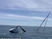 Pánico en una excursión: el video del momento en el que un grupo de orcas ataca y hunde un yate