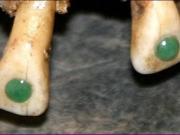 Descubrieron porqué los antiguos mayas pegaban piedras preciosas en sus dientes