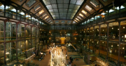 El Museo Nacional de Historia Natural de París, víctima de un robo millonario: qué se llevaron