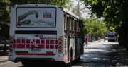 Día de la Primavera: horarios, líneas de colectivo y cómo funcionará el boleto gratuito para quienes vayan al Parque