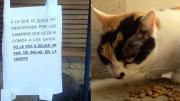 “Balas en la frente”: escalofriante amenaza de muerte a una joven que alimenta a gatos callejeros en La Plata