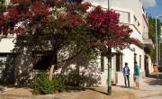 Tiene solo 19 años de antigüedad: este es el barrio más joven de Buenos Aires