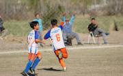 Se jugó otra fecha del Torneo Regional Infantil de Roca: las mejores fotos y los resultados