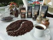 La Paz concentra el 96% de los cultivos de café en Bolivia
