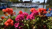 Dónde festejar la llegada de la Primavera: bares y restaurantes que preparan celebraciones especiales