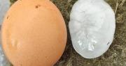 Granizo del tamaño de huevos asusta a las familias en la ciudad de Tarija