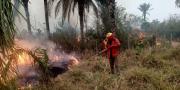 Santa Cruz en emergencia: 13 incendios forestales activos y más de 100 mil hectáreas afectadas