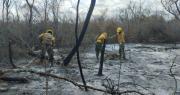 Santa Cruz: Experto dice que ráfagas y las altas temperaturas generan “condiciones” para que los incendios se acentúen