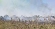 Reportan 13 incendios forestales activos que afectan ocho municipios en Santa Cruz
