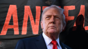 Trump declara al movimiento antifascista Antifa como organización terrorista en EEUU