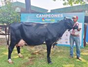 Catalina FIV, la vaca más lechera de Expocruz 2025