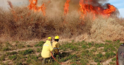 El fuego volvió a azotar una zona de pastizales en Jáchal y los bomberos evitaron un desastre