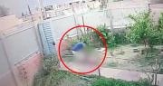 Investigan por agresión y violación al guardia municipal que fue captado golpeando a su expareja