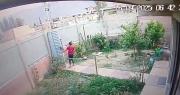 Imágenes sensibles: guardia municipal está prófugo tras golpear con puños y patadas a su expareja