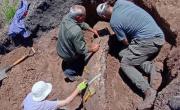 Encontraron un MEGAMAMÍFERO de 3,9 MILLONES DE AÑOS gracias a un trabajador rural en Entre Ríos: el increíble hallazgo arqueológico