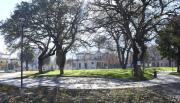 Sábado de fiesta en el paseo ex Palúdica