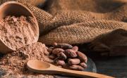 Mérida será sede del I Congreso Internacional del Cacao – Correo del Caroní