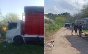 Trágico accidente en La Plata: camión atropelló y mató a una nena de 7 años