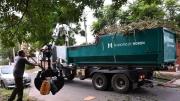 Detallaron el cronograma de retiro de ramas y restos verdes en Morón