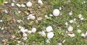 Alcalde de Tarija realiza entrega de bombas anti granizo y fertilizantes en San Andrés y otras comunidades afectadas