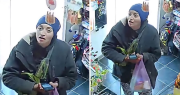 Comerciantes de Albardón, en alerta por una mujer que compra con una aplicación falsa