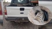 Decomisan 150 kilos de carne con hueso de contrabando en la Ruta 151
