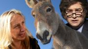 EL GOBIERNO MÁS BURRO DE LA HISTORIA: libertario propone declarar al 11 de septiembre como el día del Maestro