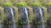 Investigan la muerte de un hombre hallado en una cascada en Iguazú