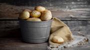 Superproducción de papas: “Hay un exceso de papas en el mundo y no valen nada”