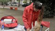 Campaña de vacunación antirrábica gratuita en Morón