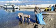 Armada recolecta más de 40 toneladas de basura en campaña nacional de limpieza de playas