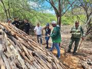 Investigan tala de cují y almacenamiento de aproximadamente 6.000 kilogramos de leña, en áreas protegidas de Lara
