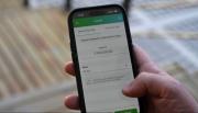 Vuelan las tasas: cuáles son los bancos con mejores plazos fijos en Argentina