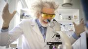 Los experimentos científicos más locos del mundo: murciélagos borrachos y bebés amantes del ajo