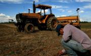 Gobierno entregó 52 millones de litros de diésel al agro, productores advierten retrasos