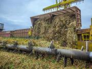 Las fábricas de azúcar de Salta y de Jujuy llevan producidas casi 342.000 toneladas de azúcar