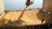 Las exportaciones agrícolas marcaron un récord de 70 millones de toneladas