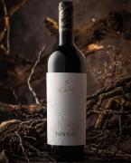 Diputados aprueba ley por el “Día Nacional del Tannat Boliviano”, variedad de uva nacional de alto prestigio