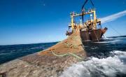 Protección del mar: logran un acuerdo internacional