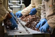 Crédito SiBolivia llega a 15.000 productores y supera Bs 1.978 millones