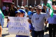 EL TCP DECLARA INCONSTITUCIONALES DOS PARÁGRAFOS DE LA DISPOSICIÓN SÉPTIMA DEL PGE