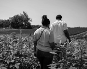 Departamento de Agricultura de los Estados Unidos retira apoyo clave a agricultores Afro-estadounidenses